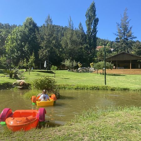 Quinta da Vinha do Souto Arouca Exterior foto