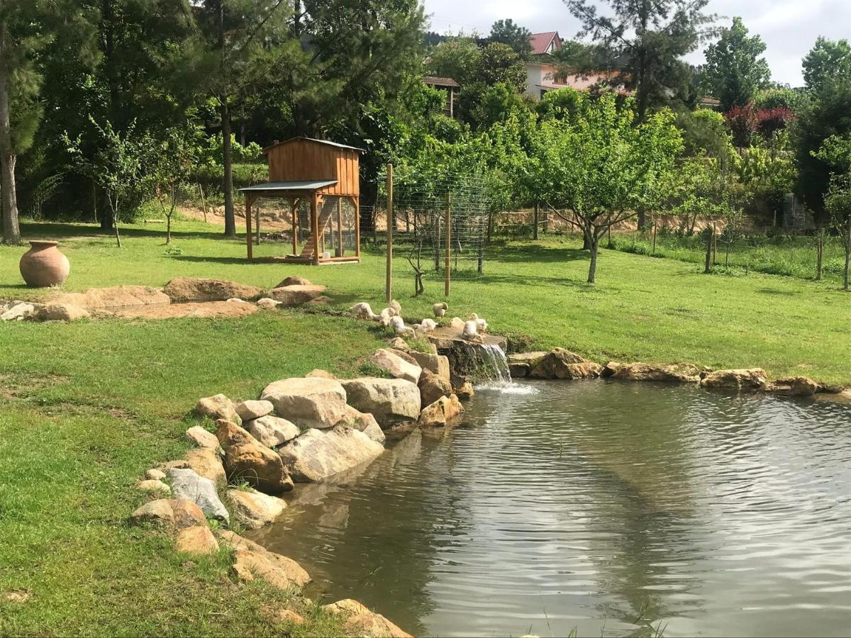 Quinta da Vinha do Souto Arouca Exterior foto